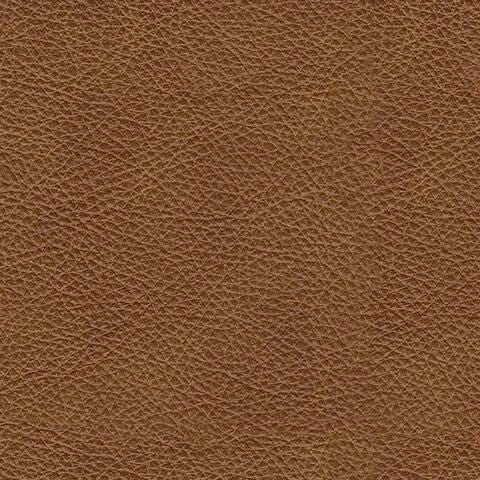 Carianna Loveseat