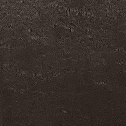 Kimonte Dining Chair - Javi's Furniture & Mattress (Woodburn, OR)