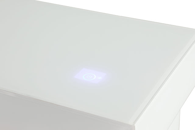 Dorrit 55" Electric Fire Place